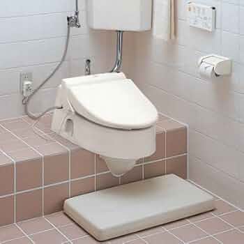 マイ ウォシュレット 41CB+gqvaRL._UF350,350_QL50_.jpg